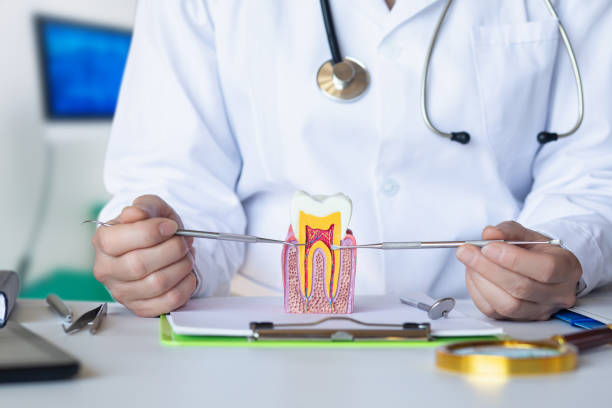 Best Emergency Tooth Extraction in Lake Cherokee, TX